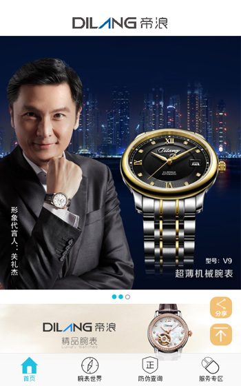 帝浪表业